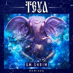 Teya - OmShrim (DJ Shaman Remix)