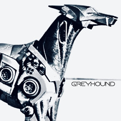Greyhound