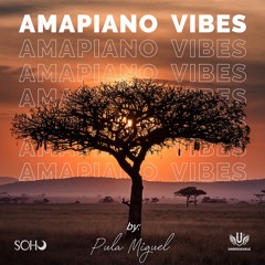 Dj Pula Miguel - Amapiano Mix