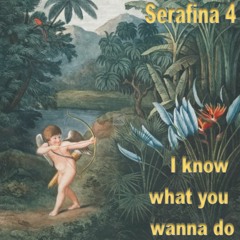 I Know What You Wanna Do