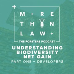 Understanding Biodiversity Net Gain: part one – developers
