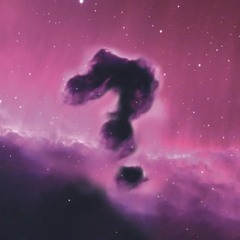 Cosmic Expanses, Gravity Challenges, and Multiverse Mysteries