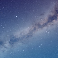 タケノコのガヴォット（2021）