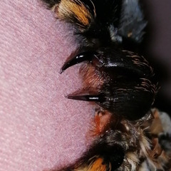 i'm scared of how this will end for us