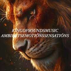 KINGOFSOUNDSMUSIC Ambients Emotións Sensatións