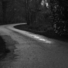 Sclerotic Sorrow