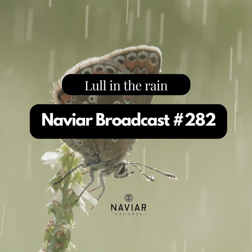 Naviar Broadcast #282 – lull in the rain – Wednesday 23rd August 2023