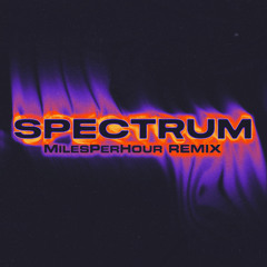 Spectrum [Say My Name] (MilesPerHour Remix)
