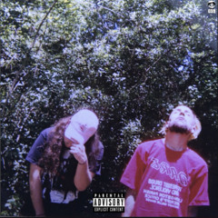 Sunshine  $uicideboy$ (remix)