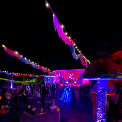 camander @ psychedelic bush disco v3 - 19/4