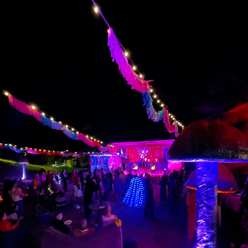 camander @ psychedelic bush disco v3 - 19/4