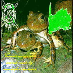 frogi3