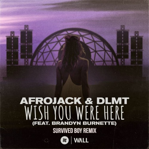 Afrojack & DLMT – Wish You Were Here (Survived Boy Remix)