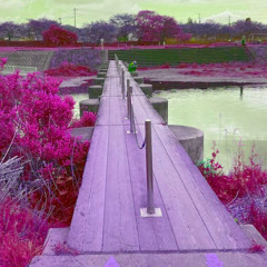 そして誰も歌を歌わなくなった