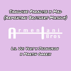 Sanguine Paradise x Mad (Armentani Brothers Mashup)