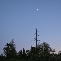 Integer (& Forest Hall) - Bad Self