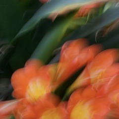 May Mix (via Sirius XM Chill).wav