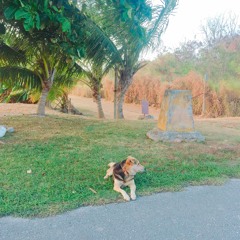 Who Am I (Prod. Cobra)