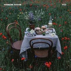 Weedie Mane - XO.