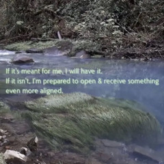 Mrs Magic Strawberry Guy cover