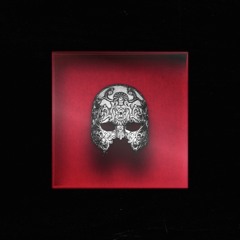 Disguise - ill Nicky and Obvi