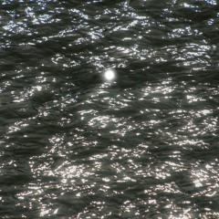 Spectral Neuroplasticity