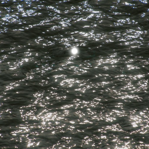 Spectral Neuroplasticity