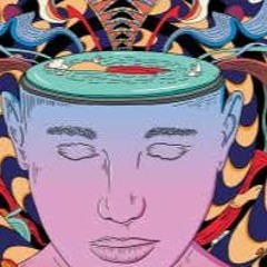 LSD - Genius - Sia-(  MooNlight vs ChikoDelic -REMIX )