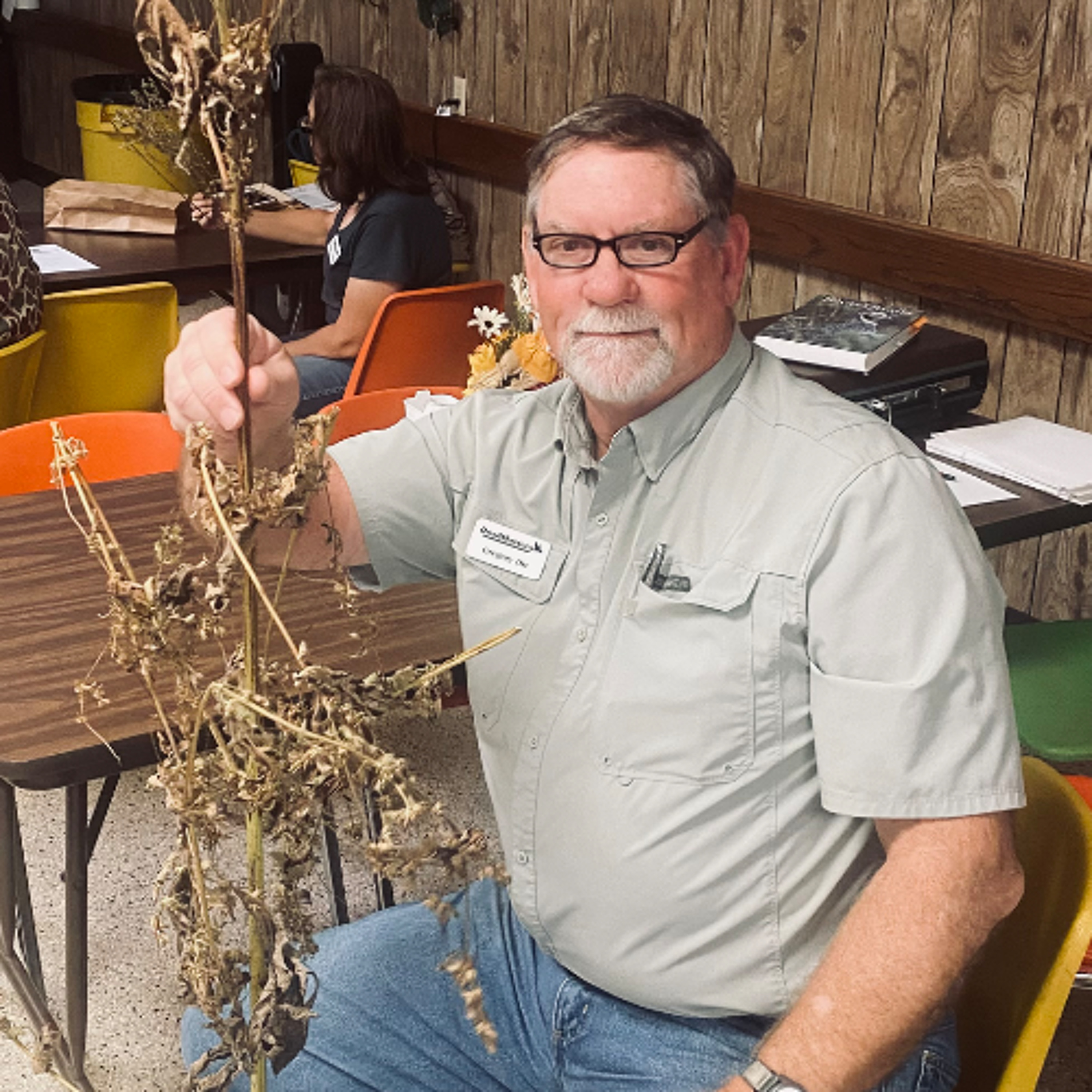 Dr. Dale on Quail