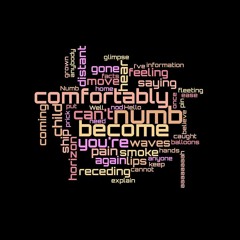 Pink Floyd Comfortably Numb... But It's A 10 Minutes Guitar Solo! Fender Ultra