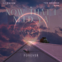 Guy Coolid X ILLENIUM, Tom Grennan, Alna - Now That I Need Ya Forever (MASHUP)