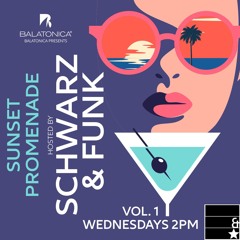 Schwarz & Funk - Sunset Promenade vol. 1