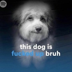 penis music X eek! -by surasshu (MASHUP)  (slightly extended)