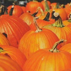 Episode 7: Spooky Sally