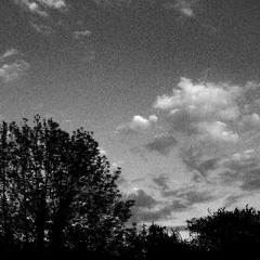 La Última Canción 25.11