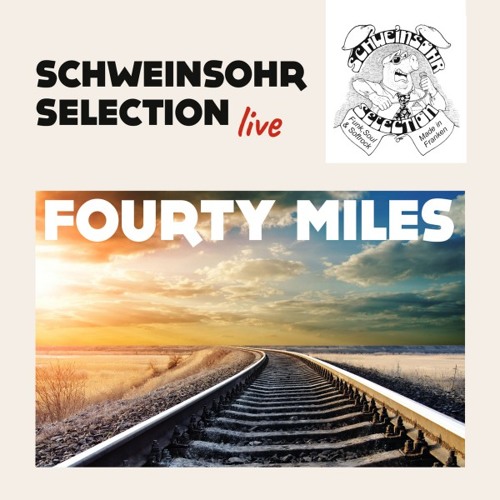 Stream Rikki Don't Lose That Number (Live) by Schweinsohr Selection