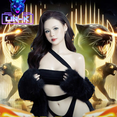 MIXTAPE 2025  LAK CÙNG TUNGTEE VOL.1