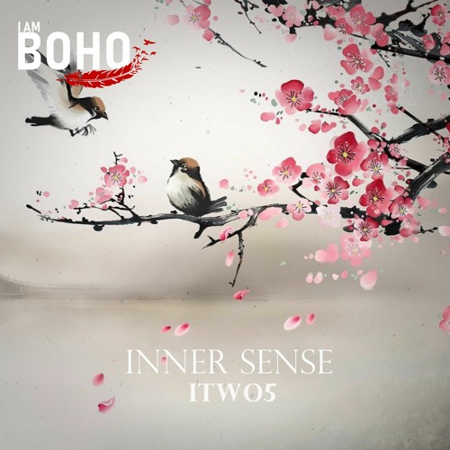 𝗜 𝗔𝗠 𝗕𝗢𝗛𝗢 - Inner Sense by ITWO5