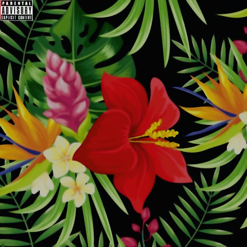 Comfy (Prod. DayOut)