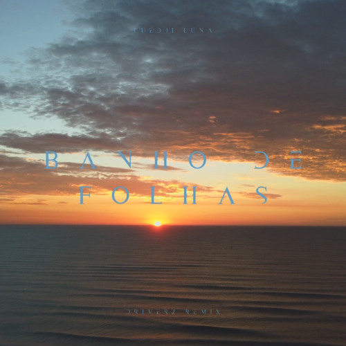 Stream Luedji Luna Banho De Folhas Driverz Remix By Driverz Music