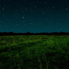 Ambient_Hum_Night