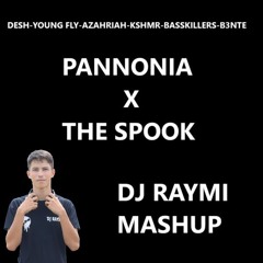 Desh x Azahriah x Young Fly x KSHMR x BassKillers x B3nte - Pannonia x The Spook [DJ RAYMI MASHUP]]