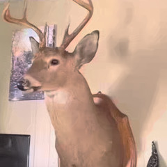 HOLLERHEX - NIGHTIME