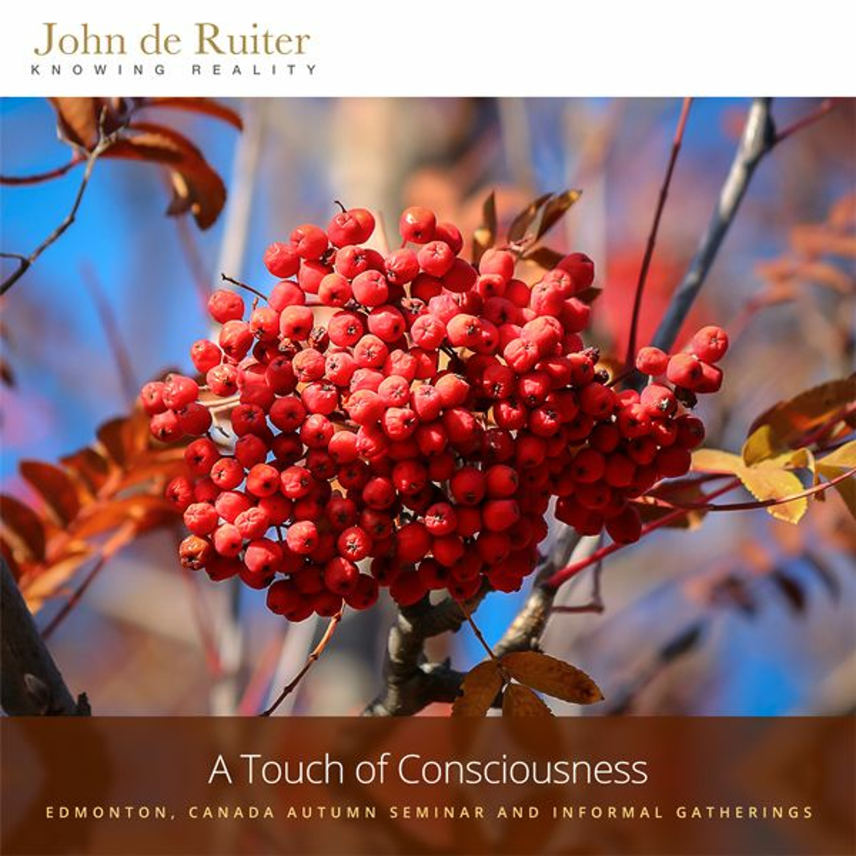 288 - A Touch of Consciousness - 6 of 7 episode artwork