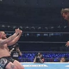 Flawless Victory Loop