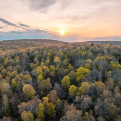 Spruce Hill