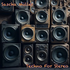 Sascha Müller - Problem Child