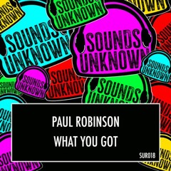 SUR018  - What You Got By Paul Robinson