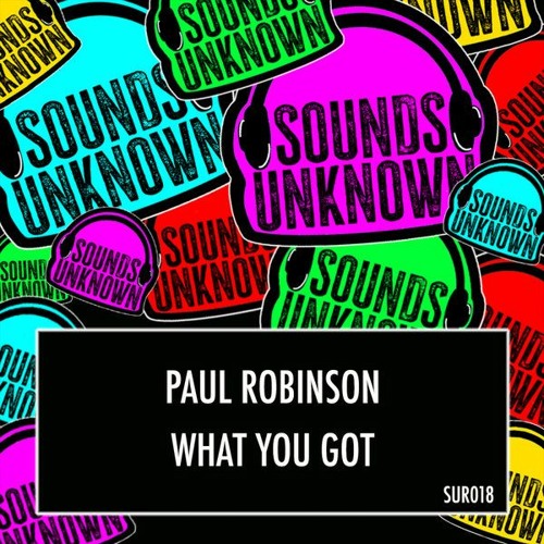 SUR018  - What You Got By Paul Robinson