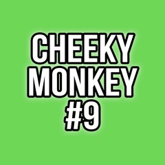 Paul Sirrell - Cheeky Monkey 9